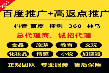 竞价广告案例分析：行业领军企业经验分享